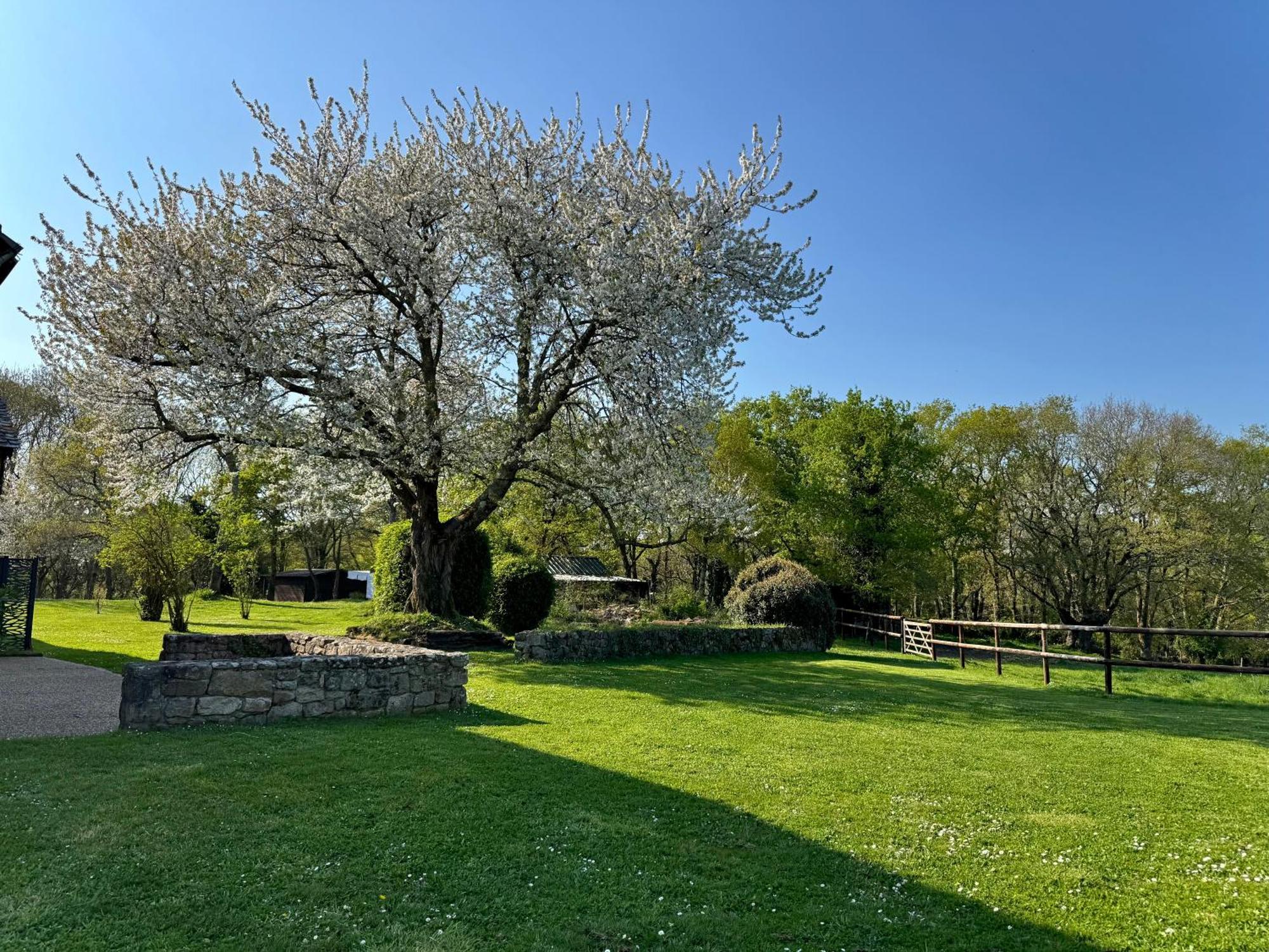 Le Domaine Du Ganquis Hotel Belz Luaran gambar